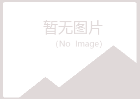 广东山柏化学有限公司